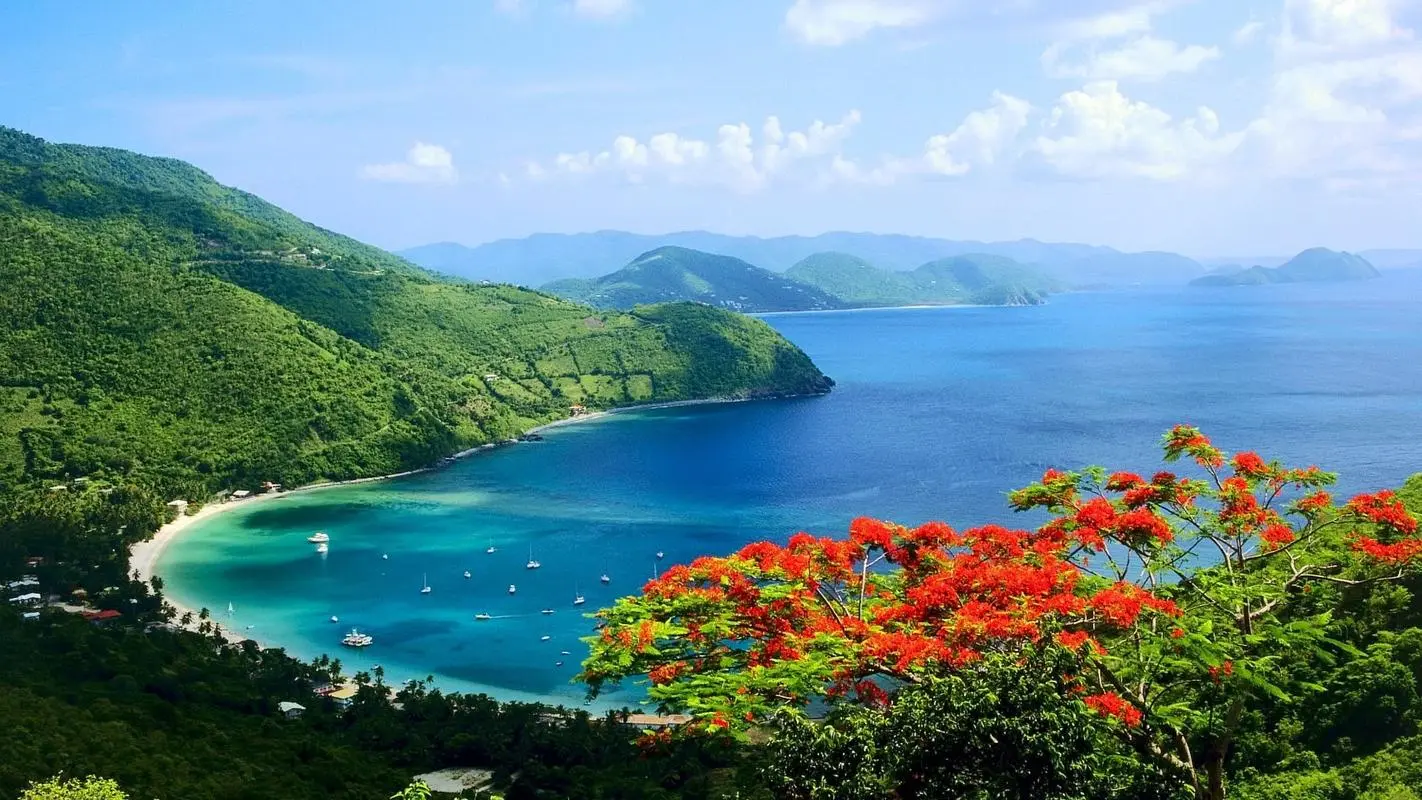 高端智慧智慧